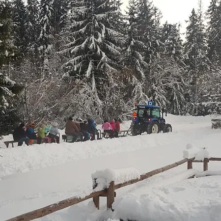 Homestay szállás U Jedrusia *