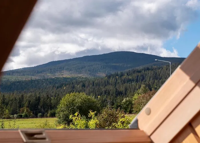 Проживание в семье U Jedrusia